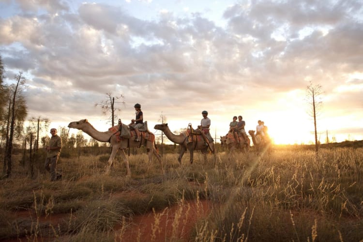 Outback Adventures